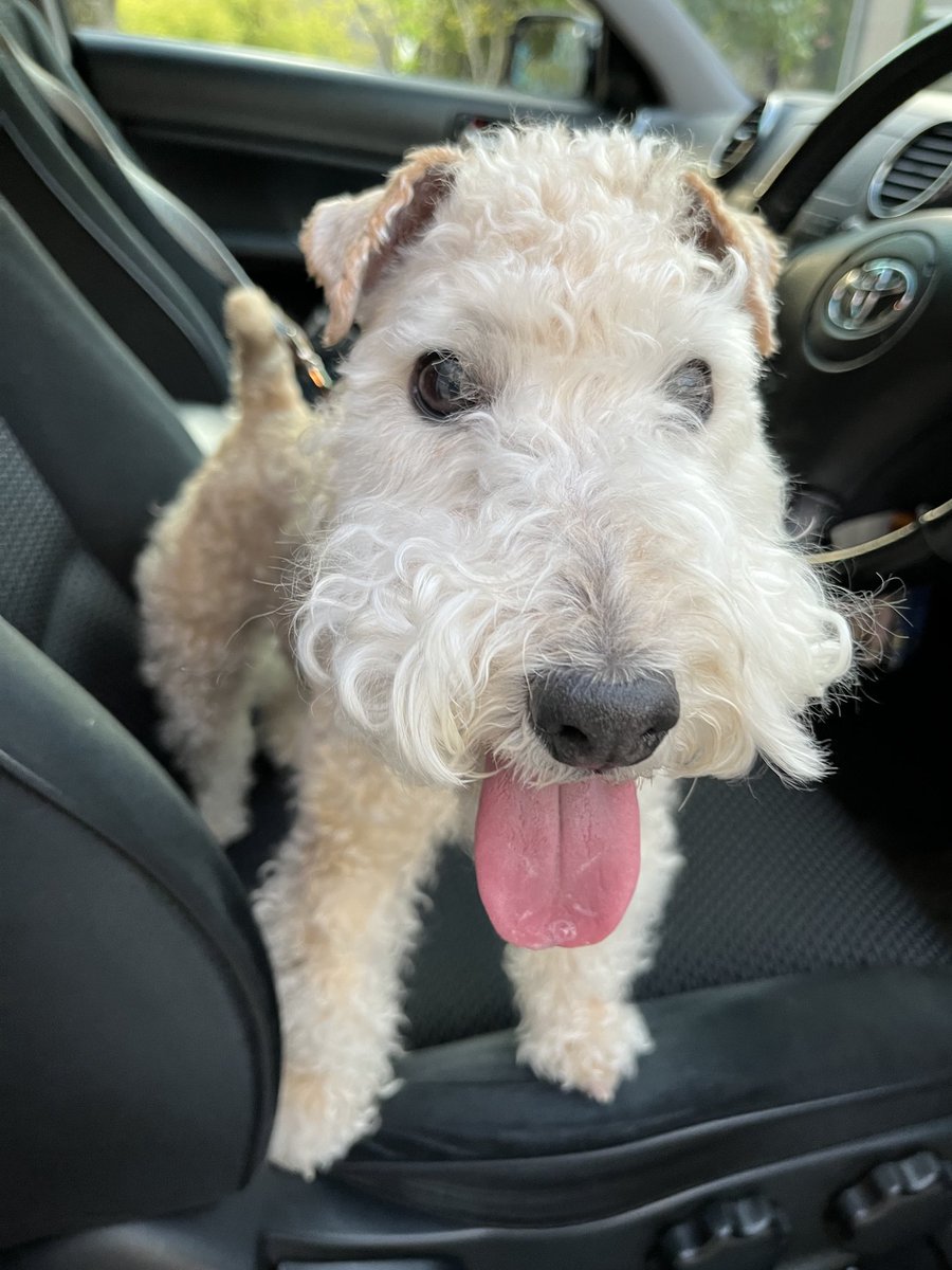 EmmaLakie's tweet photo. Tongue Out Tuesday👅 https://t.co/TtvcnsJiGE