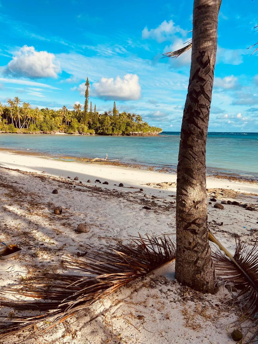 Hibiscus125_'s tweet photo. Me manque cette plage 🌺❤️ #kanaky #Olan #kirikitr #LifouIsland https://t.co/mipfnFJUAk