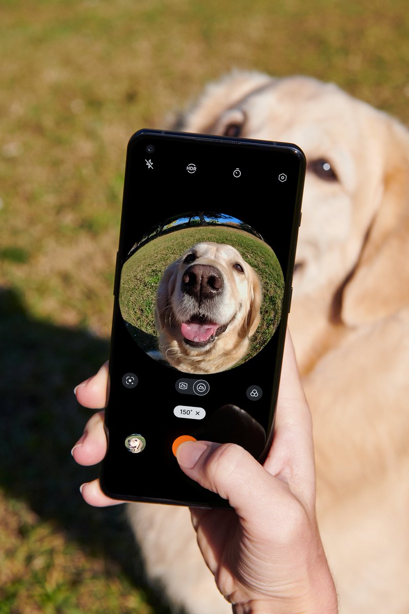 oneplus's tweet photo. Did you know that the #OnePlus10Pro's fisheye camera will make your pet 110% cuter? #NationalPetDay https://t.co/OjtrjstYmy