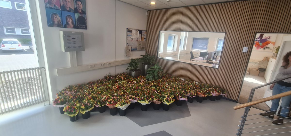 Ooit afgevraagd hoe een bloemenzee eruit ziet?
👇💐💐💚💚