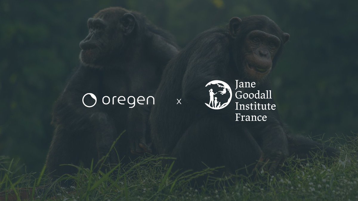 Nous sommes très heureux de vous annoncer notre partenariat avec <a href="/JaneGoodallFr/">Jane Goodall France</a> pour notre première collection de NFT.
 
Cette première collection autour du chimpanzé permettra de financer un projet au Burundi. 💚

#NFT #NFTCommunity #NFTforGood #Web3 #Biodiversity