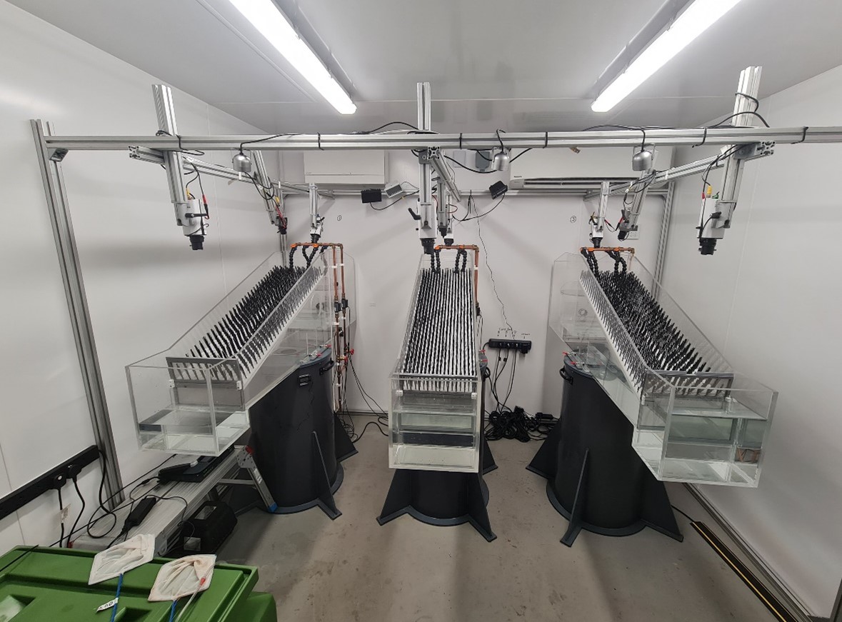 Michael J. Williamson (@mjw_marine) on Twitter photo New job opportunity ⬇️
tinyurl.com/bdfb3vr8
Post Doctoral Research Associate with <a href="/ZSLScience/">ZSL Science</a> test the efficacy of #fish pass designs for the critically #endangered European #eel <a href="/ZSLMarine/">ZSLMarine</a> #researchjobs #postdocs #postdocjobs
Photo credit:<a href="/Charlotte_Pike1/">Charlotte Pike</a> New job opportunity ⬇️
tinyurl.com/bdfb3vr8
Post Doctoral Research Associate with <a href="/ZSLScience/">ZSL Science</a> test the efficacy of #fish pass designs for the critically #endangered European #eel <a href="/ZSLMarine/">ZSLMarine</a> #researchjobs #postdocs #postdocjobs
Photo credit:<a href="/Charlotte_Pike1/">Charlotte Pike</a>