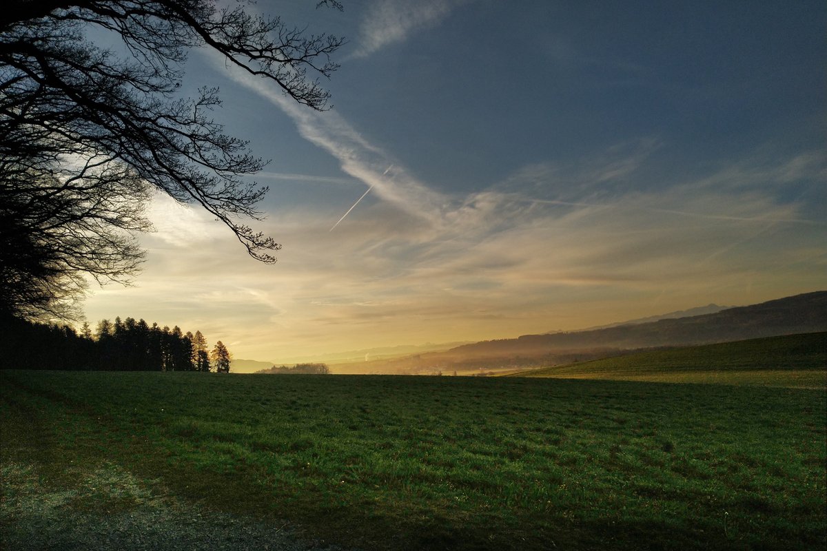 joe_stalder's tweet photo. Dienstag ist #Pfyn-Tag https://t.co/KM1f4eWf5S