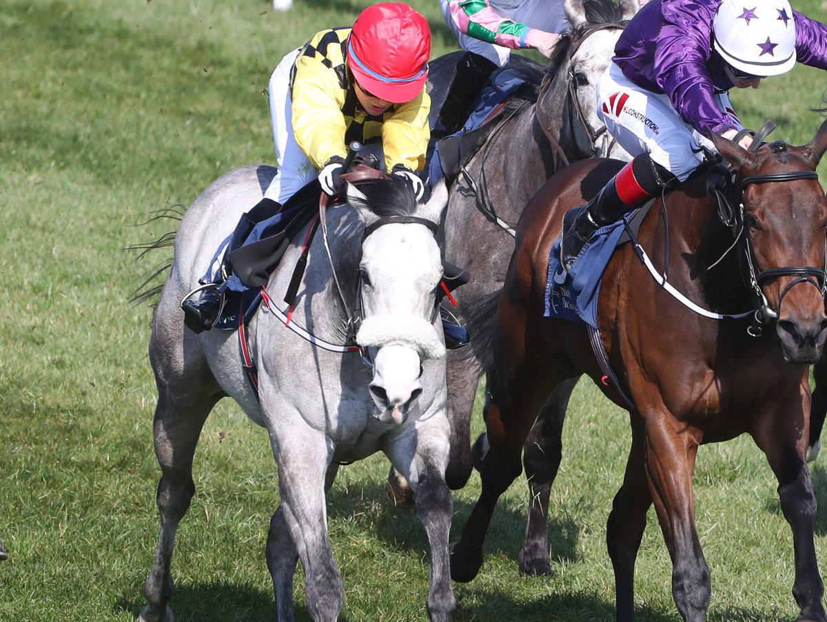 HRIRacing's tweet photo. #TodaysTips - https://t.co/rn3bVyV30G
🏇 @DundalkStadium
⏰First Race 5.30pm
A quick return to #Dundalk for Tuesday evening action.
Our preview is here ↙️
https://t.co/rn3bVyV30G #LittleQueenie https://t.co/xkkdNNzWP0