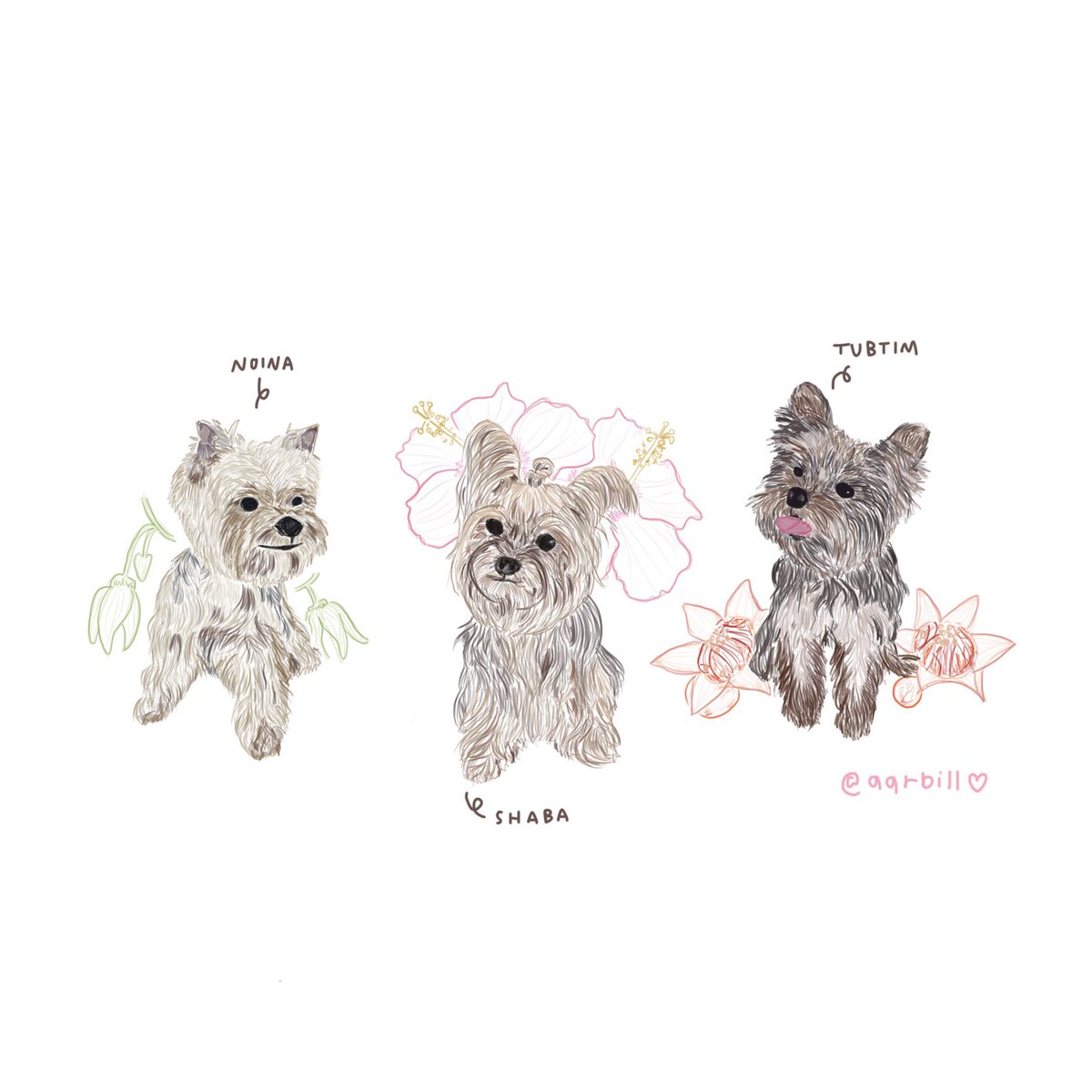 aarbill's tweet photo. เอาเด่กหยิงน้อยหน่า เด่กหยิงชบา เด่กชายทับทิม ของพี่รัฐมาฝากคั้บ🐕🐾
#tattoocolourth #ชาวนัว https://t.co/RpA96LDAxn