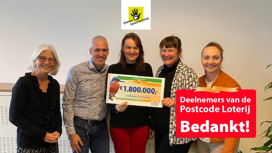 We zijn ontzettend dankbaar voor de steun van de Nationale Postcodeloterij, die we ook dit jaar dankzij alle deelnemers mogen ontvangen. #deelnemersbedankt 📣 

Minimaal 40% van hun inleg gaat naar goede doelen, lees meer: bit.ly/3JxHjgW.

<a href="/PostcodeLoterij/">Postcode Loterij</a>