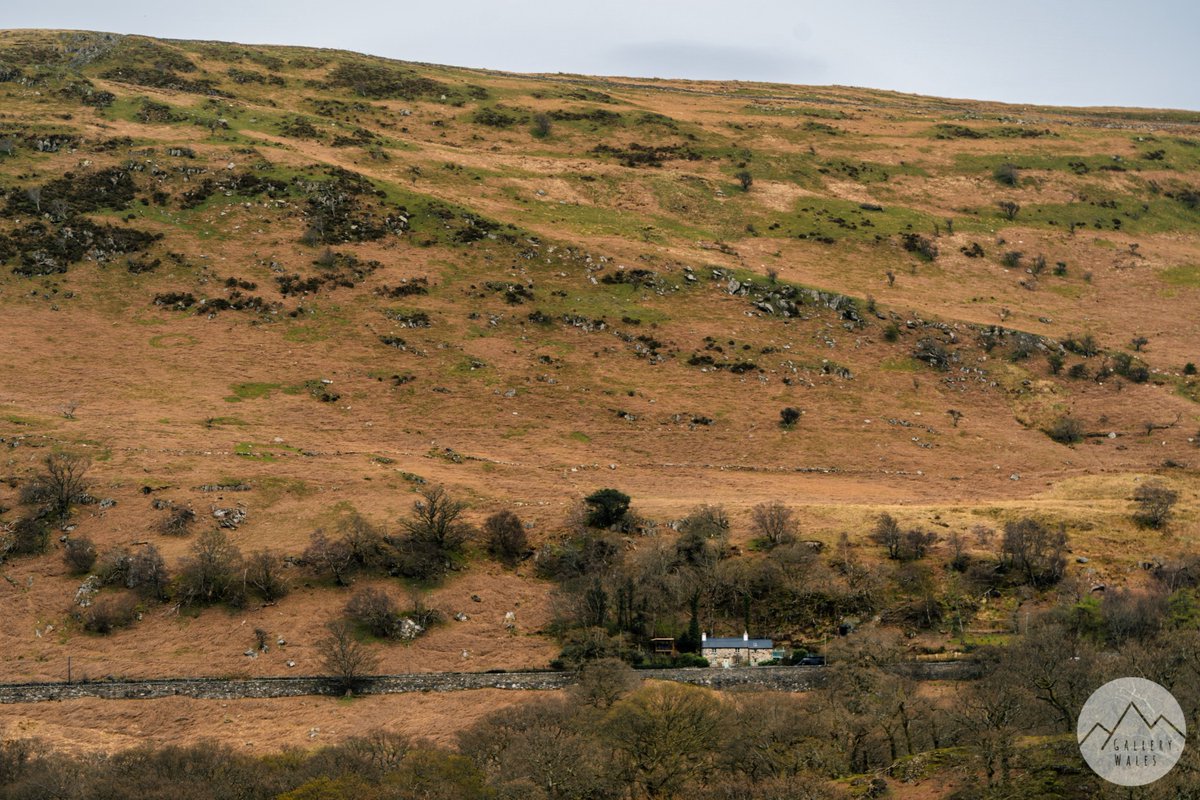 Nant Ffrancon, Ogwen Valley

#Eryri