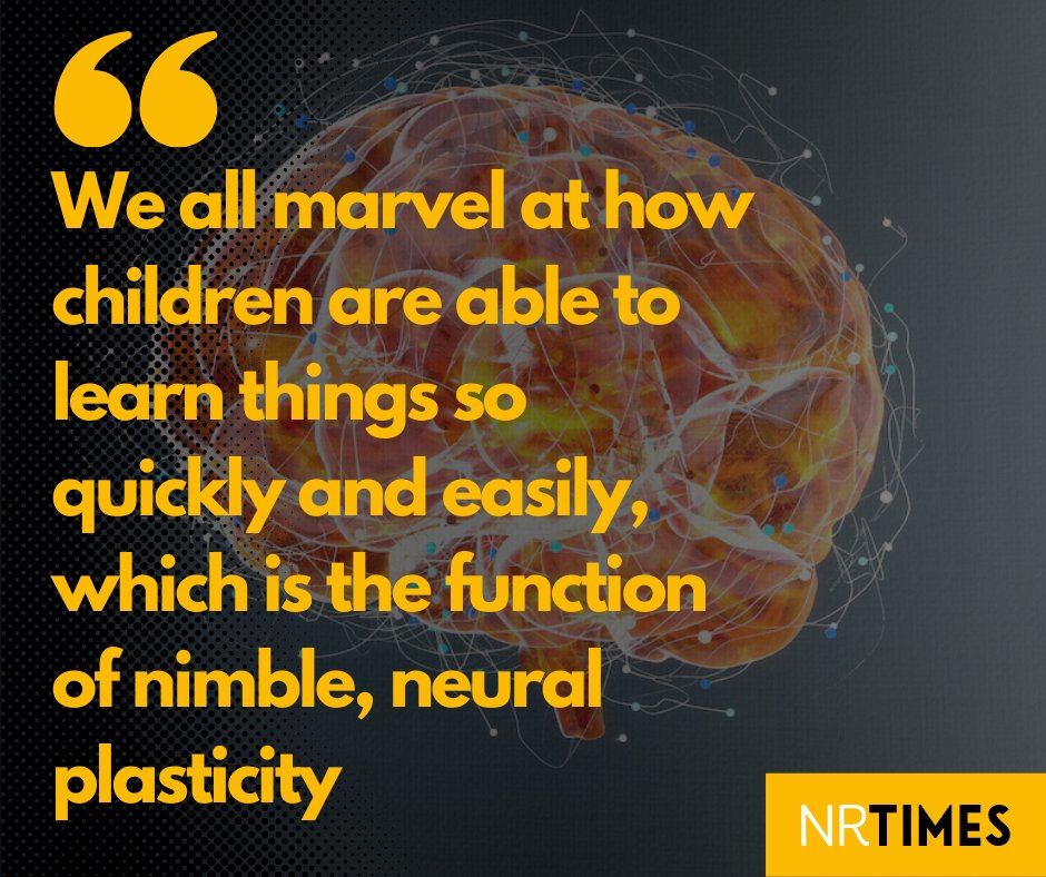 editorNRTimes's tweet image. How restoring brain plasticity is the key to reversing brain damage by Paul Brennan, CEO of @NervgenP bit.ly/3JzrohW #BrainInjury #NeuralPlasticity
