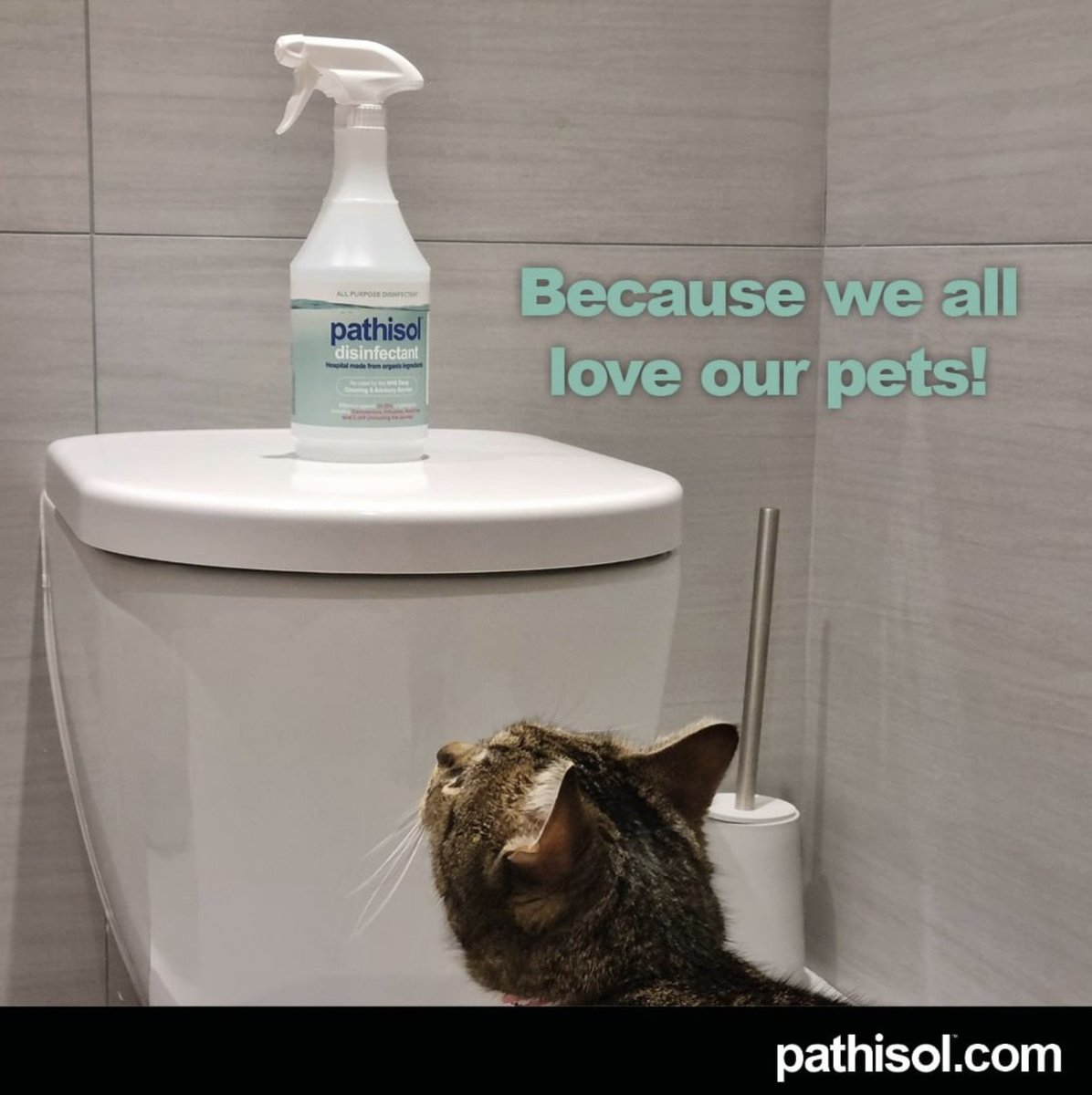 Pathisol Solutions tweet media