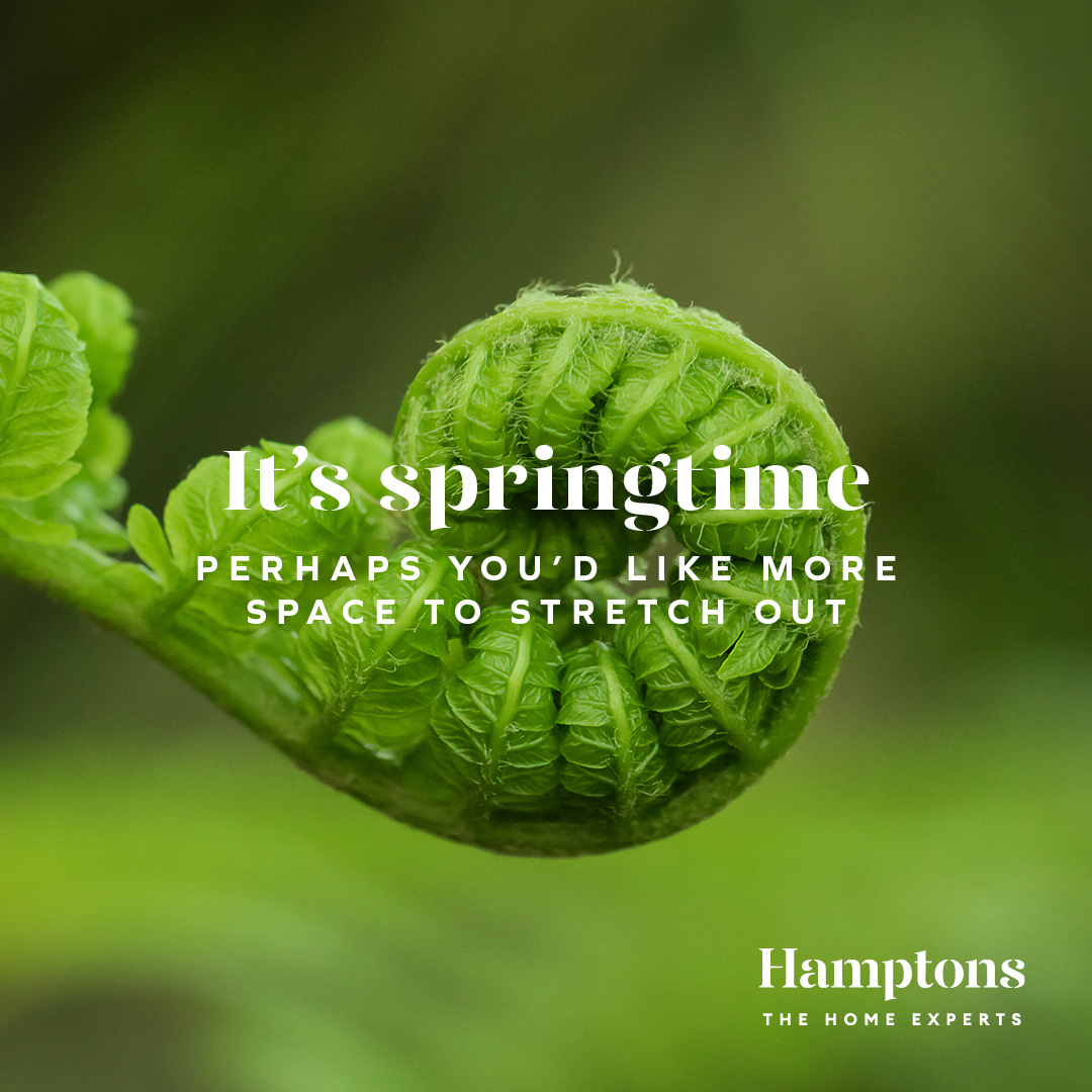 Hamptons1869's tweet photo. It's Springtime, perhaps you'd like more space to stretch out? 🍃 

Find your perfect home with Hamptons &amp; begin your move today with a free valuation to find out how much your property is worth. Visit our website for more:
https://t.co/gA5pLdzRdj https://t.co/r2BctWvPMw
