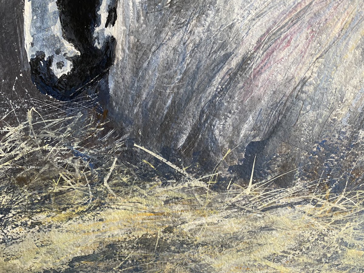 staithesartist's tweet image. Ewe And Her New Born from a fabulous photo from @woolismybread Showing a detail and the original image. #caseinpaint #watercolourpaper Can’t decide if it is finished yet. #thinkingtime