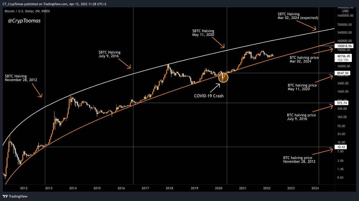 CrypTomas tweet media