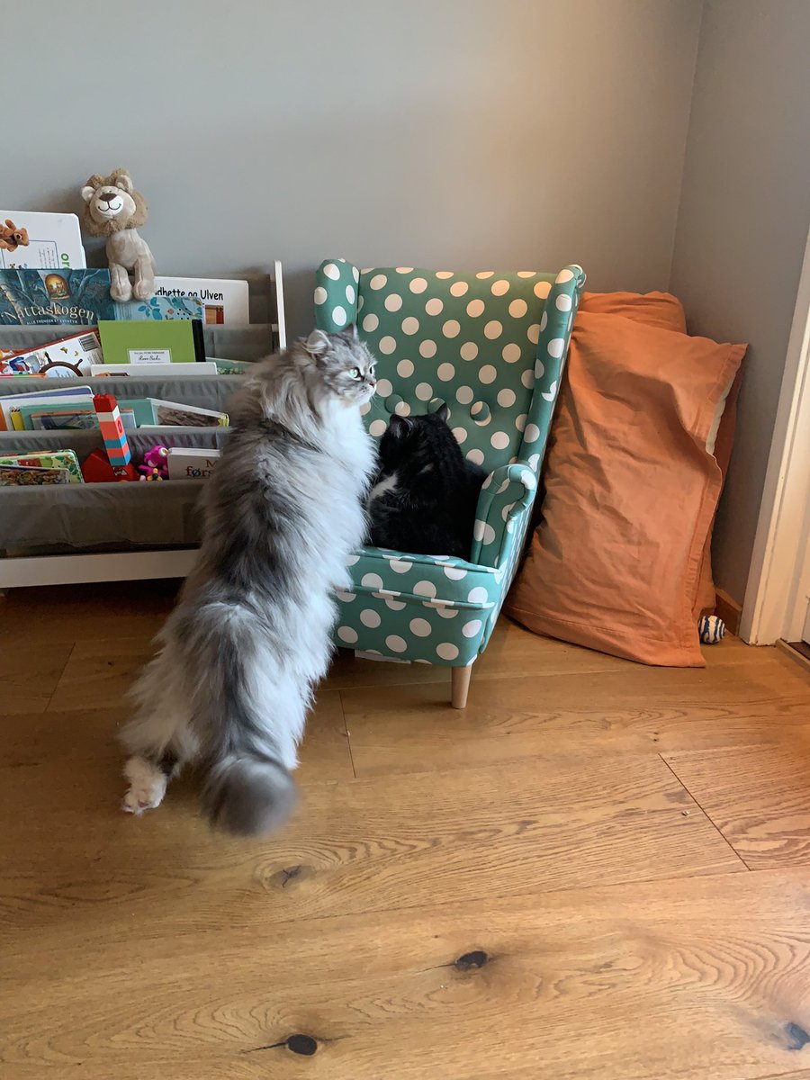 Hva gjør Direktøren? tweet media