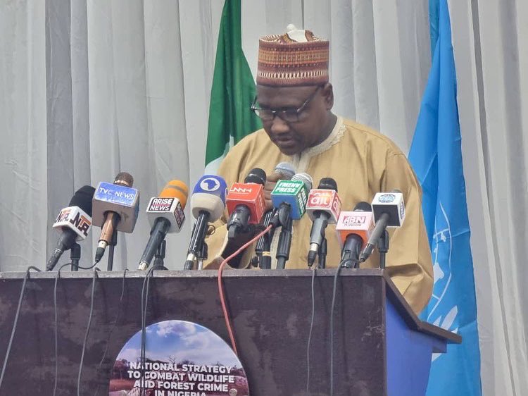 NESREANigeria's tweet photo. NESREA TODAY !

DG NESREA Prof Aliyu Jauro presenting goodwill message at the Launching of the National Strategic Plan For The Combat of Wildlife and Forest Crimes in Nigeria organised by the United Nations Office on Drugs and Crimes (UNODC) at NAF Conference Centre, Jahi Abuja. https://t.co/lsVuo7Egif