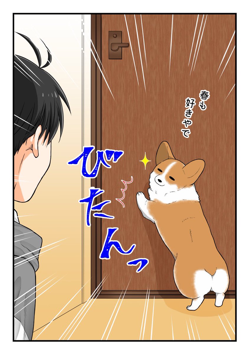 すっかり暖かくなりました🐕 