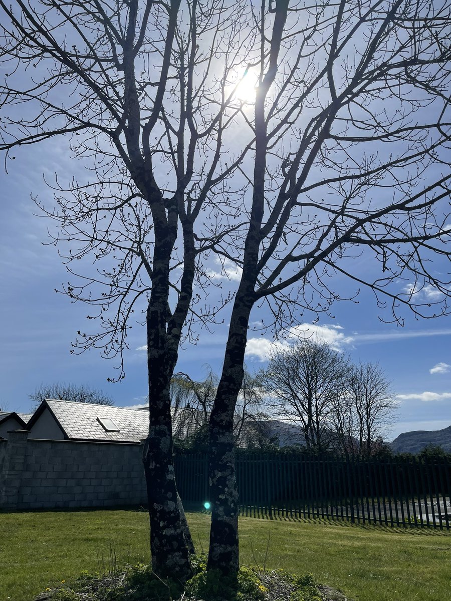 alphargulus's tweet photo. Just some pictures that I took when I went Killarney last week
#filmschool2022 #念尘不闻世 #Killarney #Ireland #landscape https://t.co/Dvqzg8MKE2