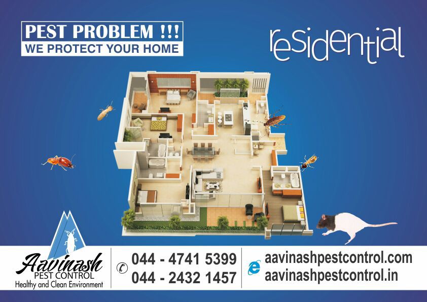 AavinashPest's tweet image. 📲 Contact us Today! +91 98414 97999

🌍 aavinashpestcontrol.com

#PestProblem #WeProtectYourHome #PestControlSolution #CommercialPestControlServices #PestControl #PestControlChennai #PestControlService #HerbalPestControlChennai #TermiteControlServicesChennai