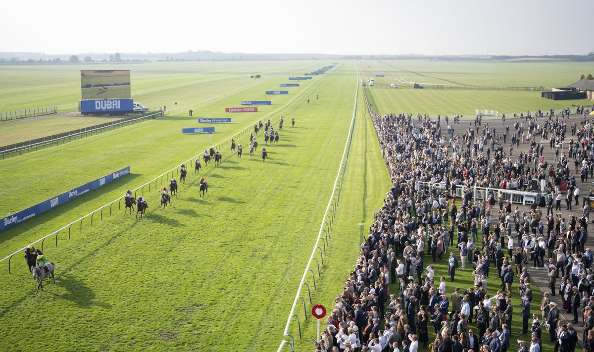 Racing Post tweet media