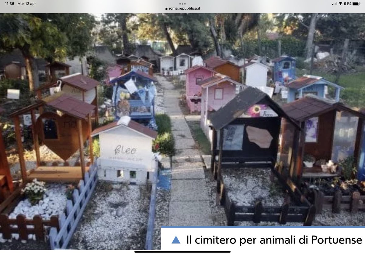 L'eterno riposo di Fido, arrivano i cimiteri degli animali. 'Diritto a continuità affettiva' roma.repubblica.it/cronaca/2022/0… via @repubblica @RestiamoAnimali @reteanimalista @manginobrioches @RegioneLazio