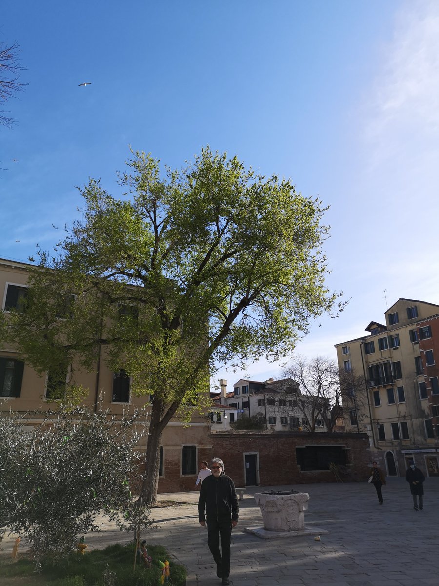 A stroll through the #JewishGhetto of #Venice! / Passeggiando per il #GhettoEbraico di #Venezia!

#maisongiusyvenezia  #cannaregio #casavacanze #guesthouse #italy #italyvacation #accomodation #hotelinvenice #veniceholiday #guesthouseinvenice  #discovervenice #visitvenice