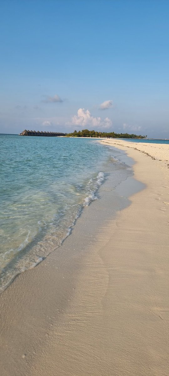 Nothing like a good book and a beautiful view ... Happy Tuesday from Kuredu ❤❤ #AmazingMaldives #AmazingNUSA