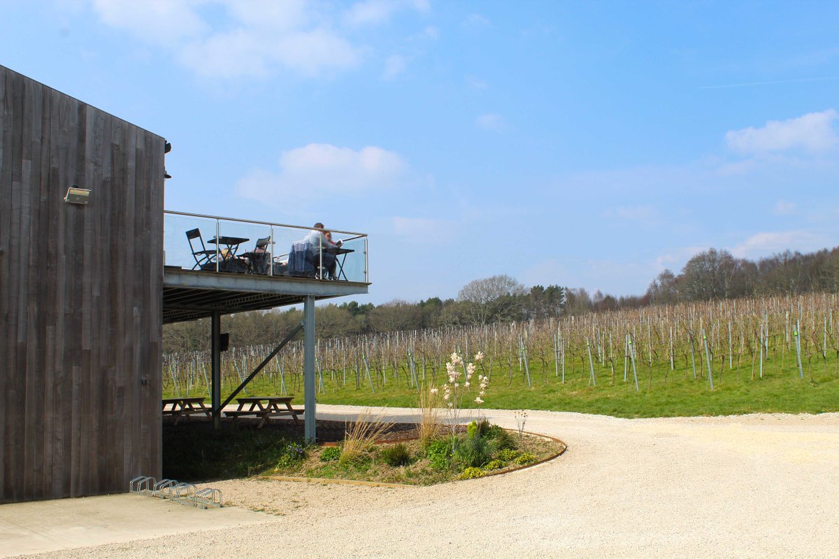 Looking for bank holiday plans? Immerse yourself in the tranquillity of our estate this Easter. Gather with friends and family to enjoy a delicious brunch, lunch or glass of bubbles in a stunning vineyard setting 🥂 hubs.li/Q017WgDc0