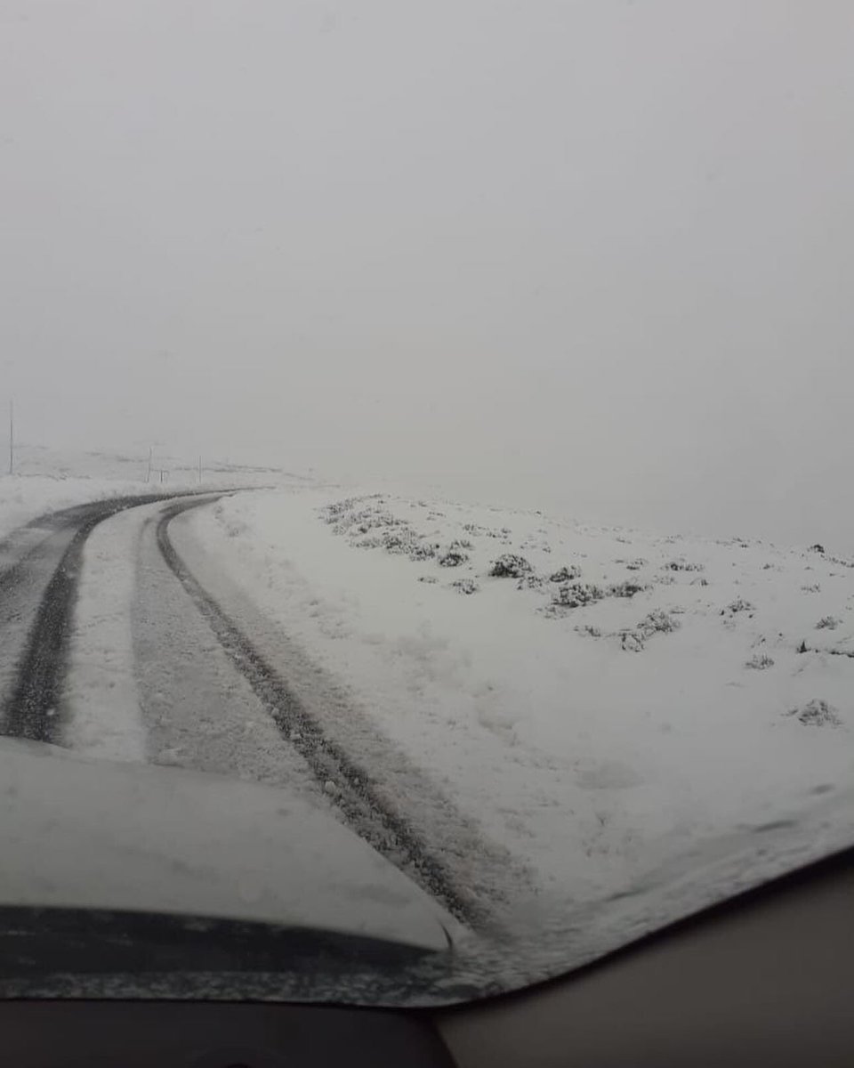 Motlatsi Rakolobe tweet media