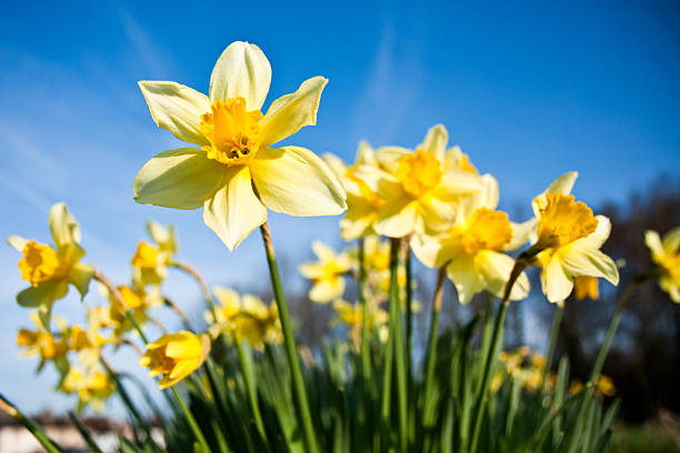 FamilyFirst_ERC's tweet photo. Enjoying walking, exploring and playing in East Renfrewshire's beautiful parks this Spring.
πΌ
Free Family Fun!
π¦
https://t.co/8oFOHS8syc
πΌ
https://t.co/o7V9W7m82f
π¦
#FamilyWellbeing #LetsPlayERC
πΌ
#StressAwarenessMonth https://t.co/hKLgUJilxr