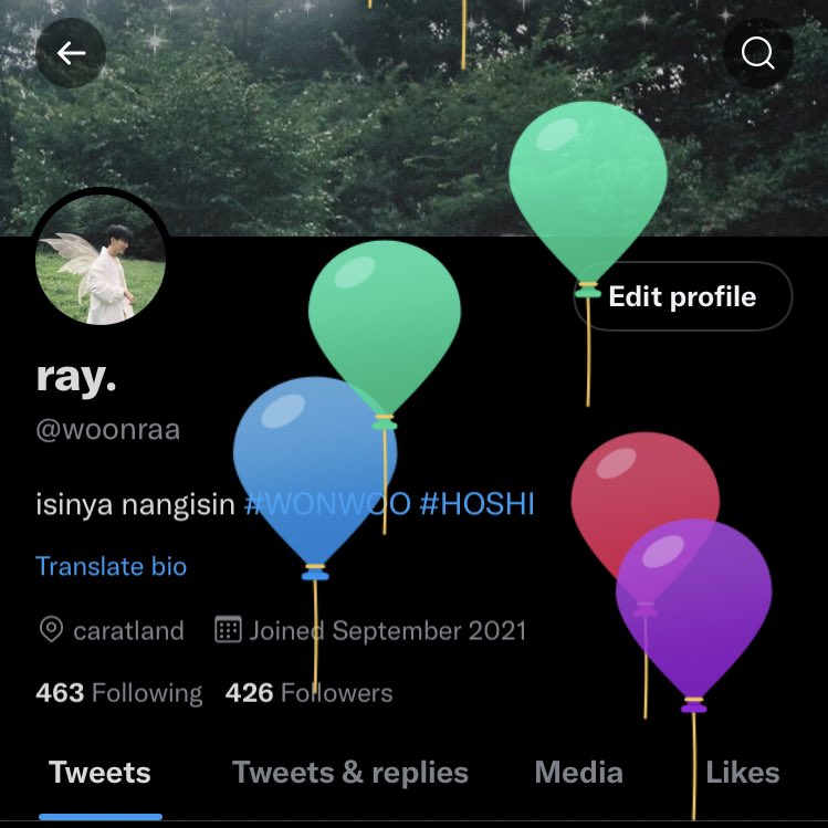 woonraa's tweet photo. today it's my birthday🧚🏻‍♀️

—hope everyone happy and healthy. https://t.co/MF9cRznwul