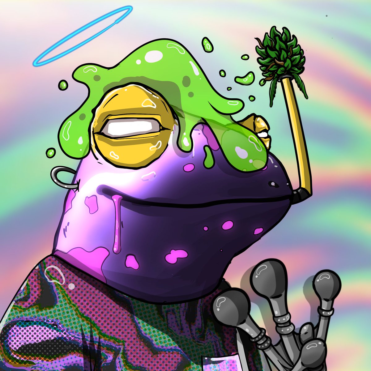 The Stoned Frogs tweet media