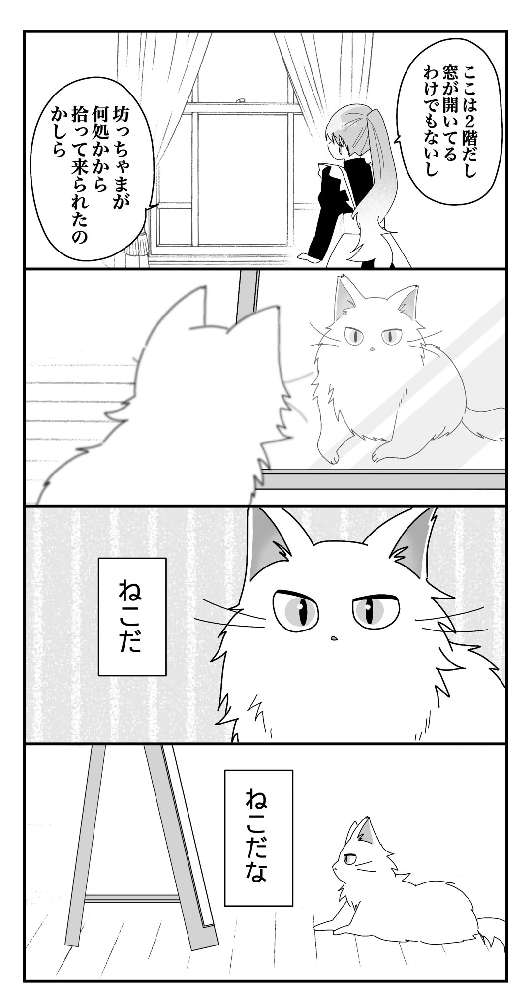 せかねこ on X: せかねこ on X: