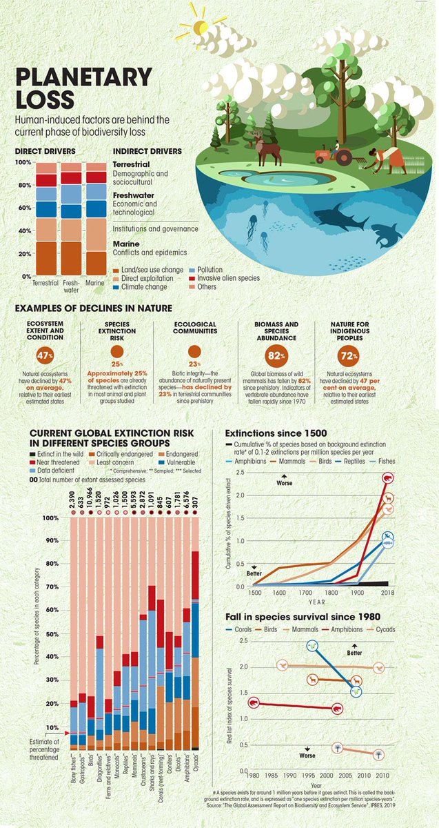 6th mass extinction | The loss of biodiversity is on land, water and air, across all continents, and indicates mass extinction
downtoearth.org.in/news/wildlife-…