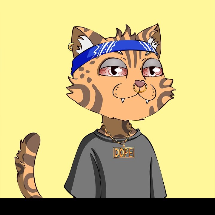 sean10916's tweet photo. @IcedKnife #DopeCats @Dope_Cats foundation is in place! https://t.co/GhpfRVFzg2