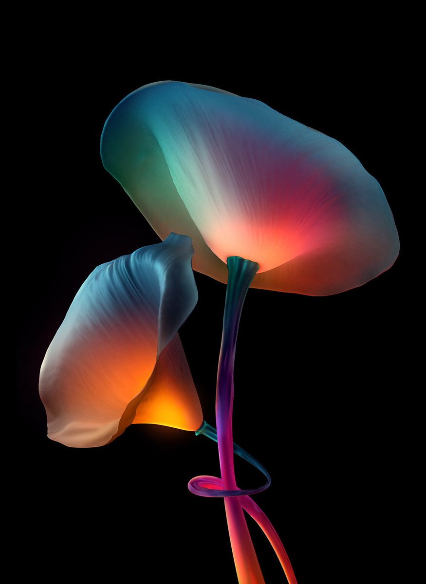 RikOostenbroek's tweet image. Welcome to the Rikverse #PortfolioDay