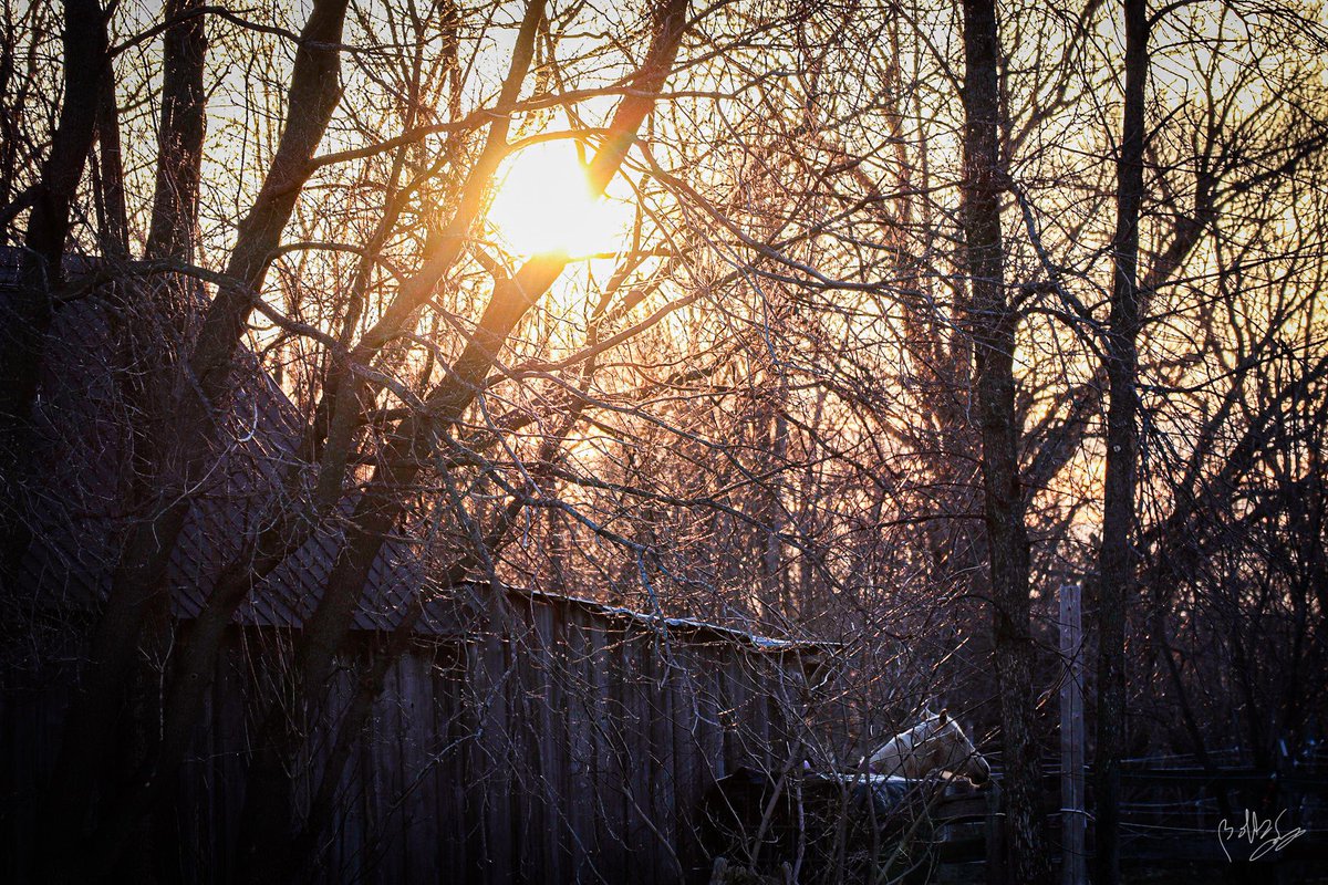 ob_smith's tweet image. #PhotoChallenge2022April #PhotographyIsArt #artistsontwitter #PhotoOfTheDay #photography #nature