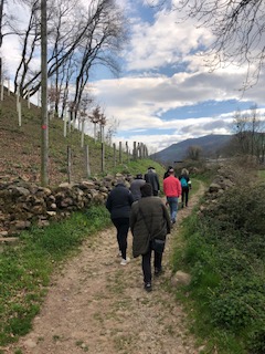 MenniNavarra's tweet photo. 🌊🚶♀️ EXCURSIÓN #CascadaXorroxin 🌳
Un agradable paseo entre hayas y castaños con una compañía fantástica y, para culminar, un gran bocadillo para llenar el buche.
Así fue la excursión que realizamos con las personas usuarias de #RAEM a las Cascadas de Xorroxin.
Fue un día 10🔝 https://t.co/b9lSE7J5ka