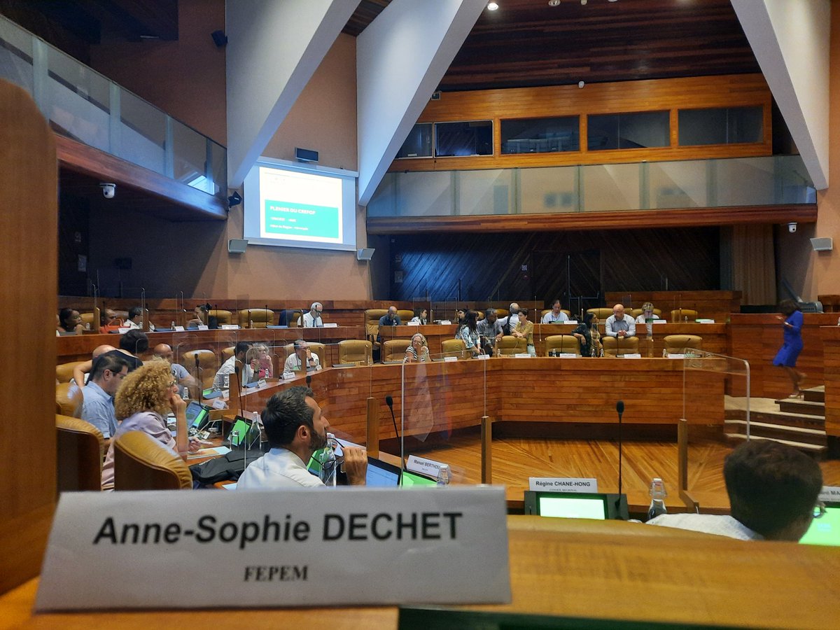 Participation de la Fepem à la 1ere séance plénière 2022 du CREFOP Réunion.#particuliersemployeurs #emploisadomicile #Tousmobilises