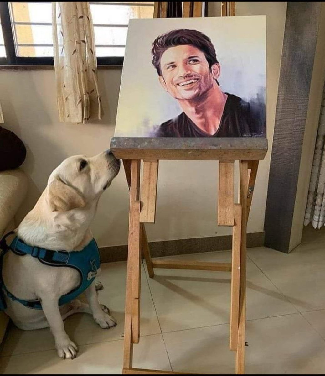 Sushant Singh Rajput Death clearly shows a botched up investigation under a big conspiracy, evidence clearly indicates murder. 
Request <a href="/HMOIndia/">गृहमंत्री कार्यालय, HMO India</a> <a href="/narendramodi/">Narendra Modi</a> Ji to fast track the case.
Millions are roaring everyday  for 👇#JusticeForSushantSinghRajput 

Maha Abhiyan 4 Sushant