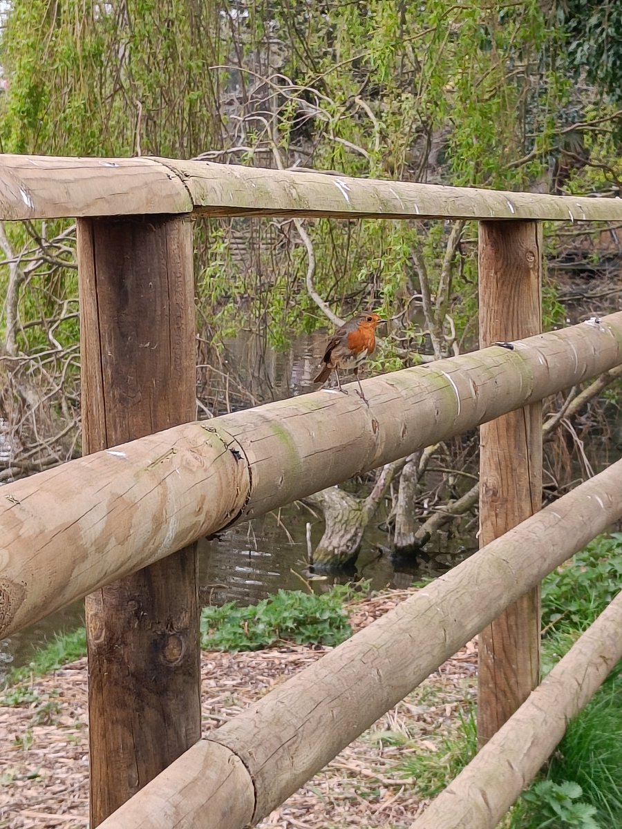 OPA_LL's tweet photo. We've been spotting wildlife today. #OPAfunhomework https://t.co/ziDGIC4lqO