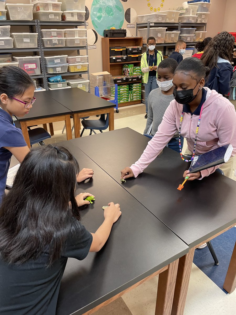 Up and learning today with <a href="/texaswildlife/">Texas Wildlife Assoc</a> reviewing and comparing life cycles. One of my favorite presenters! <a href="/kxb282/">Kirah Martinez</a> <a href="/Tonilscott_ed/">Toni Scott</a> <a href="/McNeilles/">McNeill Elementary</a> <a href="/hyacinto10/">Mrs. Obrero</a>