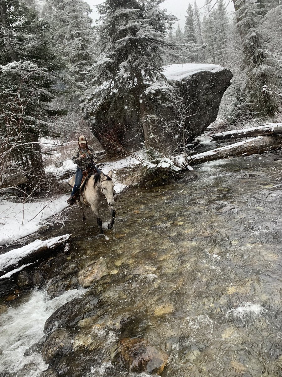 clark_elkdog88's tweet photo. #ridinghorses #buckskin #horses  #springtime #shepretty #onthephone #letsgo #outdoors #naturelovers https://t.co/FzMOZ9UoZT