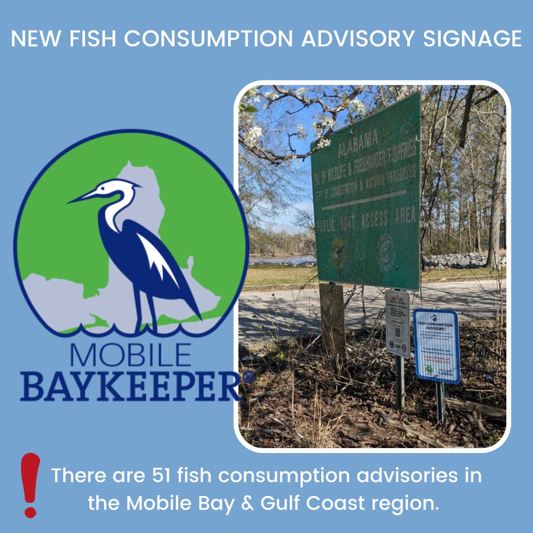 MobileBaykeeper tweet media