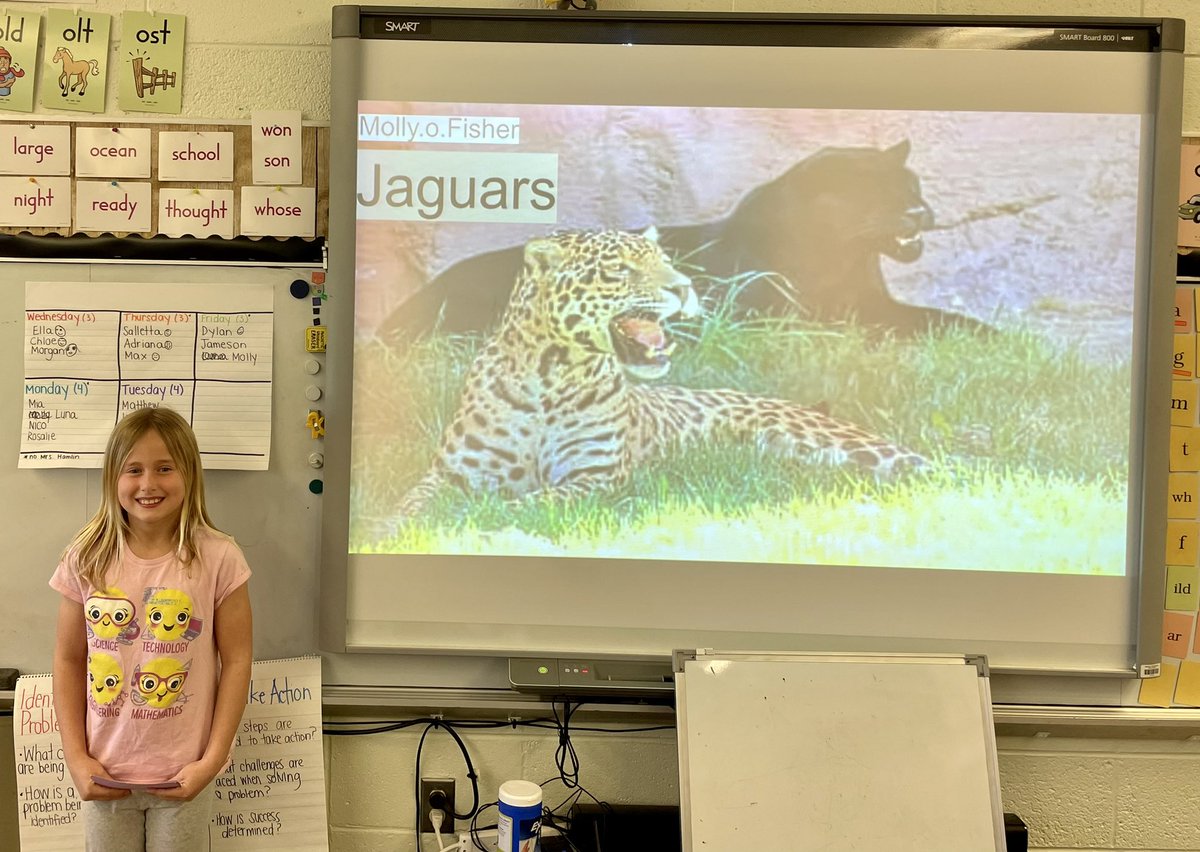 MsMcNaught_'s tweet photo. We’ve learned about so many different topics this week! https://t.co/KZPTB6CE6o