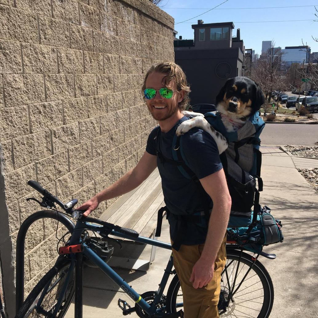 LightningFruit's tweet photo. Let's take a break from the news to enjoy this picture of Seneca in a backpack. Isn't she the cutest?!
#officedoggo https://t.co/lFntUkHNee