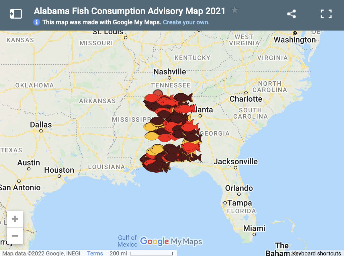 MobileBaykeeper tweet media