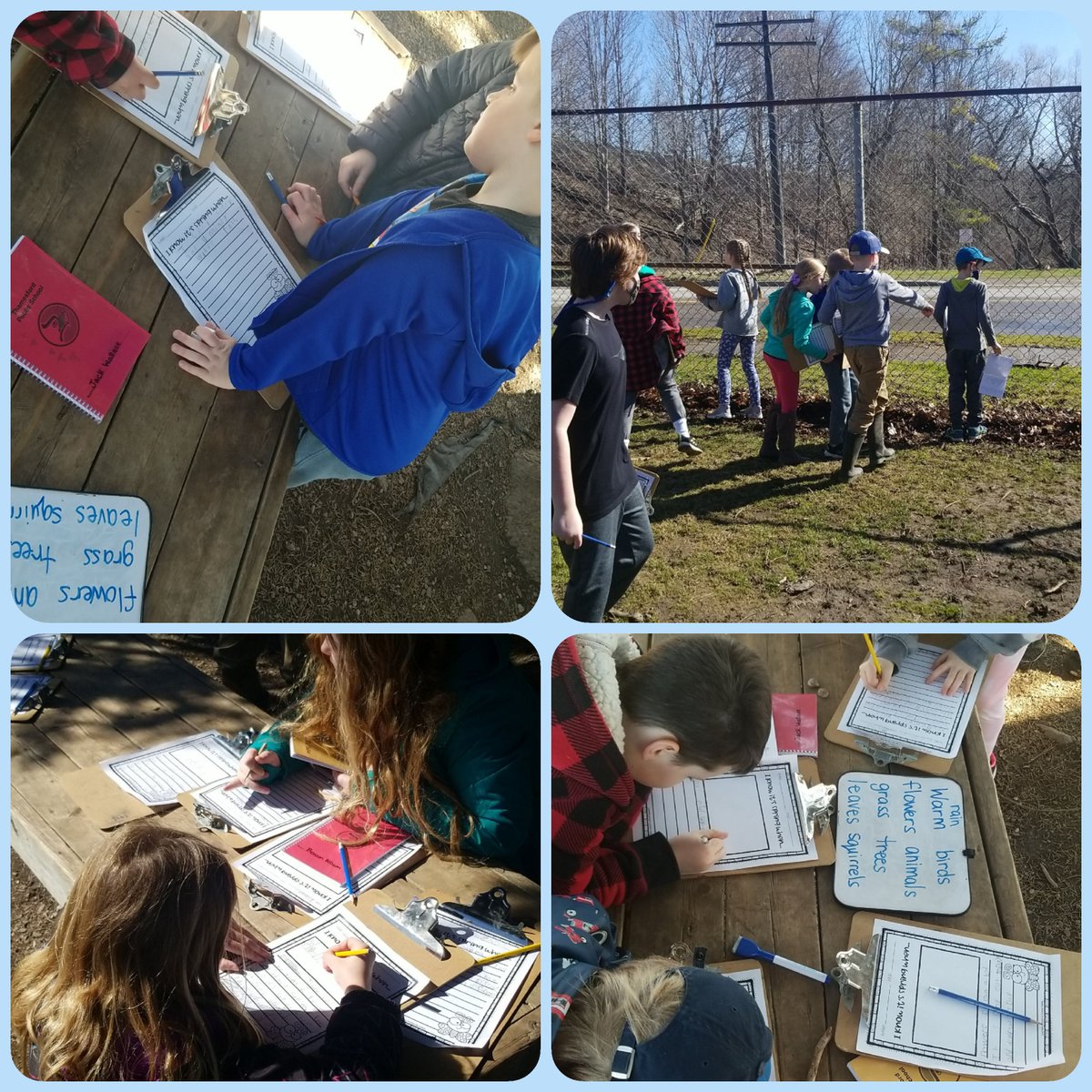 MsCowan_'s tweet photo. How do we know it's spring? When we can get back outside to learn! Signs of spring we observed: puddles, leaves budding, flowers, sun/warmth, wildlife and mud! @ThamesfordPS https://t.co/B0al4bHeRk