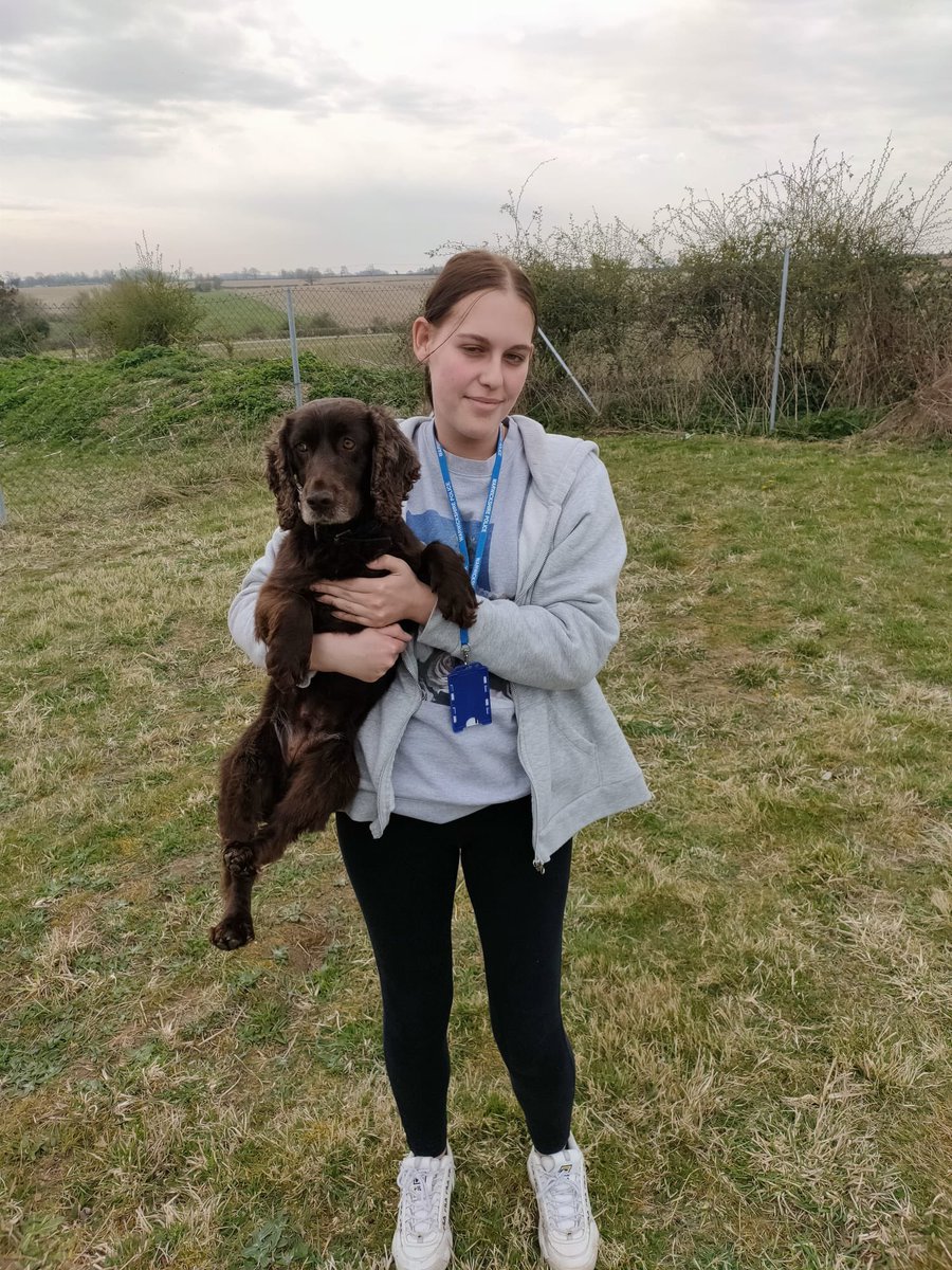 WarksCadets's tweet photo. Great day with ICTS Canine Services, the cadets got play with the dogs and watch them train!! Great day….@NationalVPC https://t.co/D6HOi4sK6o