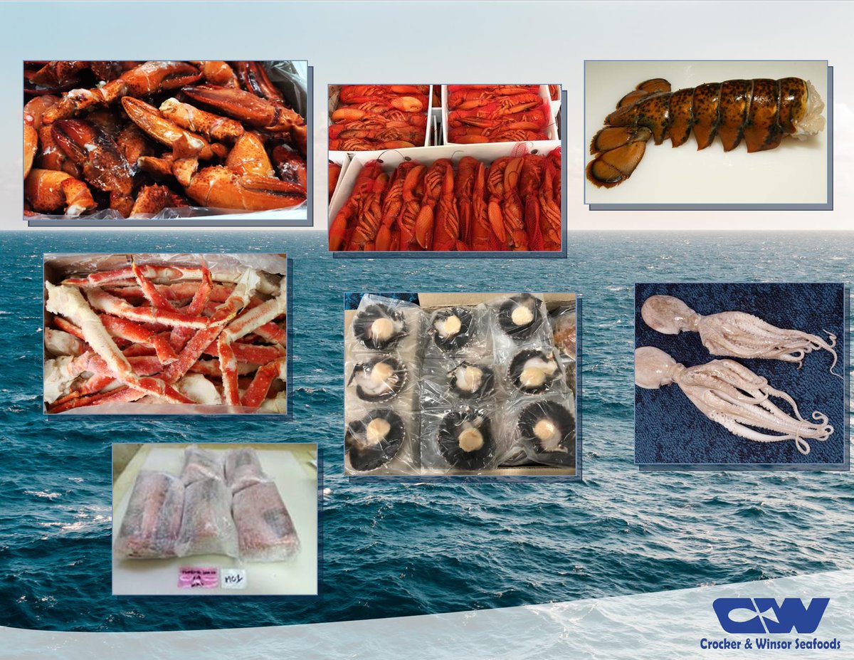 WinsorBayFish's tweet photo. As always, we promise quality, consistency &amp; value. Take a look at this weeks featured items and let us help you prepare for the new seasons ahead!

- Whole cooked Lobster, tails and Scored claws
- Scallop on the half shell
- Baby Octopus
- Sword Loins
- Red &amp; Gold King Crab legs https://t.co/glwBiMeOnU
