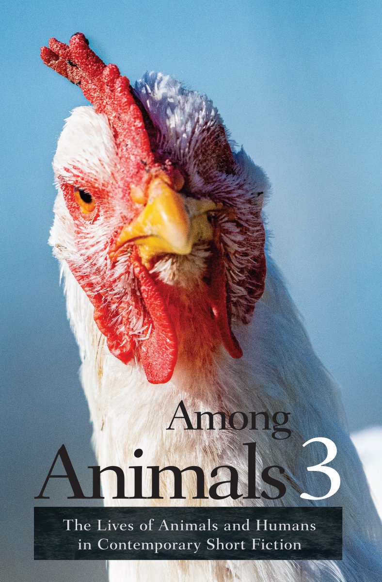 AMONG ANIMALS 3 launches today! Learn more &amp; get your copy from <a href="/EcoLitBooks/">EcoLit Books</a> or any indie bookstore!
ashlandcreekpress.com/books/amongani…
#animals #books #writingforanimals <a href="/nmlhazard/">Nadja Lubiw-Hazard 🇺🇦</a> @prettyminotaur <a href="/cloganviaCA/">Charlene Logan</a> <a href="/gwenckatz/">Gwen C. Katz</a> @UnagiYojimbo <a href="/DianeLefer/">Diane Lefer</a> @JoeAnnH