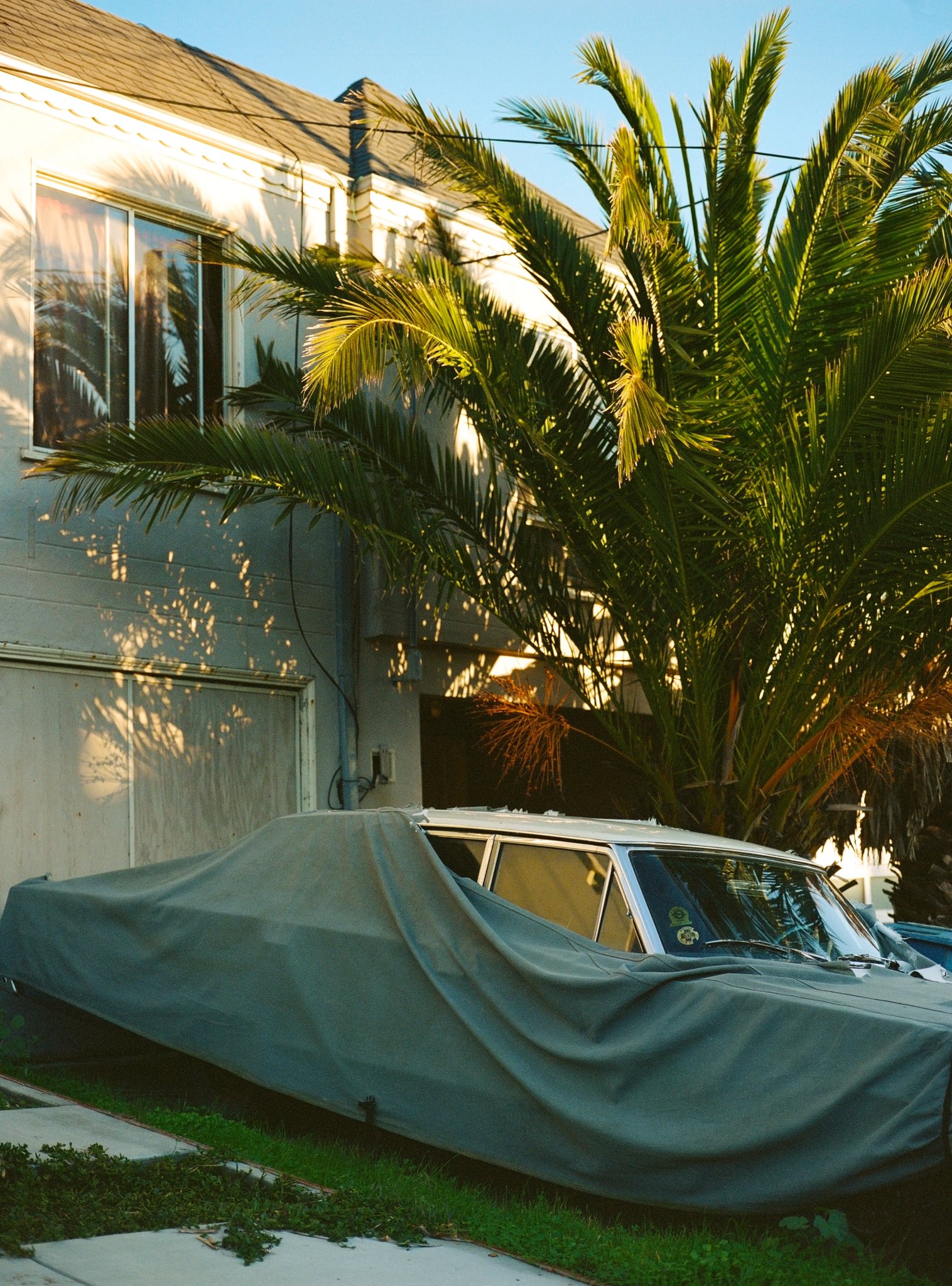 nick rufo on Twitter: 